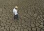 How Ethiopia Is Responding to Climate Shocks Facing Farmers