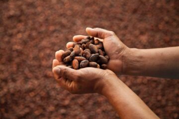 Cocoa Value Addition in Africa