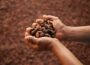 Cocoa Value Addition in Africa